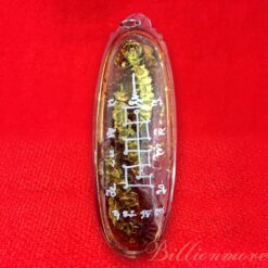 THAI VOODOO sorcery fetish - centipede amulet by Ajarn Poon