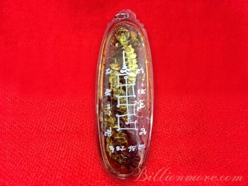THAI VOODOO sorcery fetish - centipede amulet by Ajarn Poon